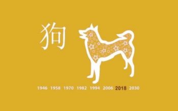 GRUNDLIGT kinesiskt horoskop för 2018: Kolla upp vad Hundens år som börjar den 15 februari kommer att föra med sig för dig